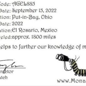 Monarch Butterfly Tagged by Students Makes Way to Mexico